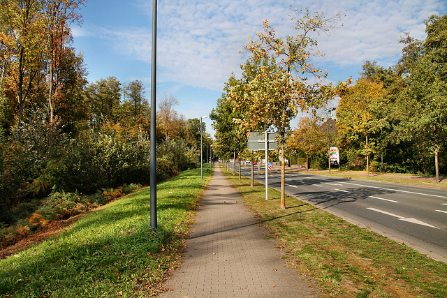 Ewaldstraße (Herten) / 15.10.2018