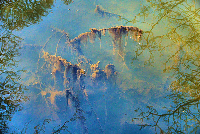 What Lies Beneath What Lies Beneath