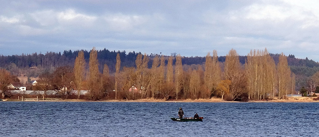 Fischer vom Bodensee