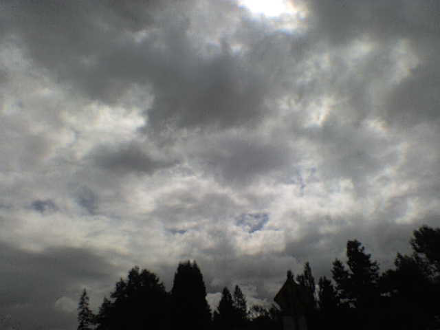 driving portland - clouds and trees