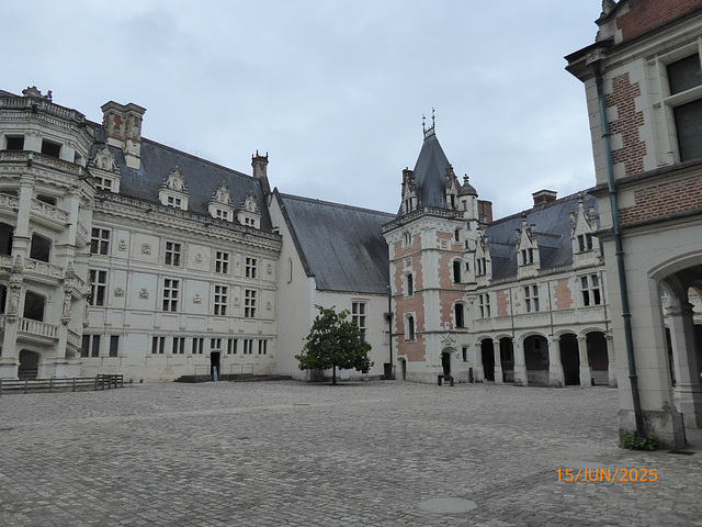 chateau de BLOIS 2/3