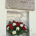 Dianthus at Plazuela de la Santa Cena, Baeza