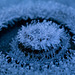 Shetland - frost