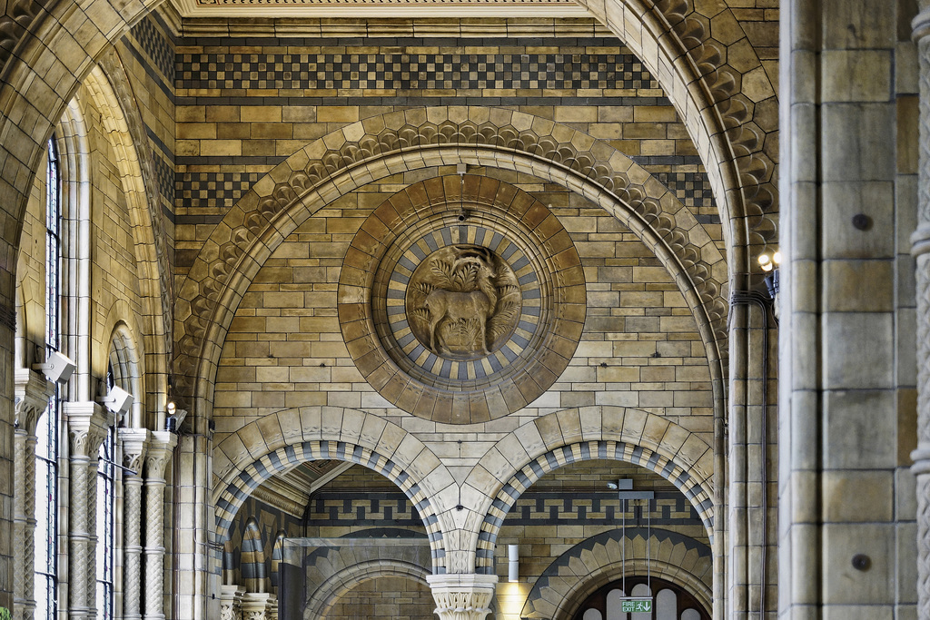 Ibex in the Round – Natural History Museum, South Kensington, London, England
