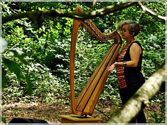 Lili ( harpe celtique ) à l'art est dans les bois (22)