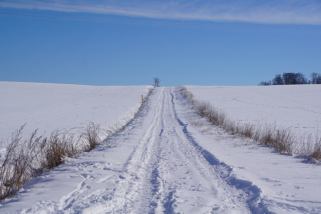 Feldweg in Winterstimmung