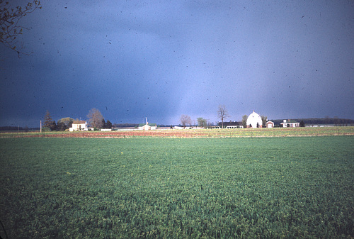 Some Farm, Somewhere