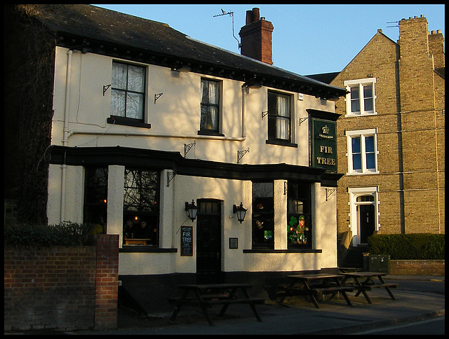 The Fir Tree at Oxford