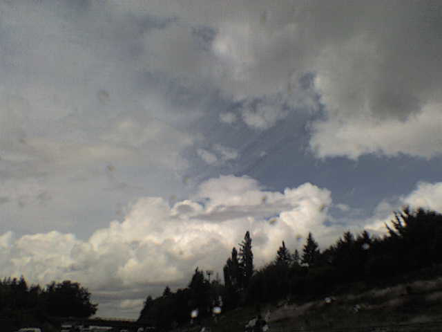 driving portland - sky and trees 2