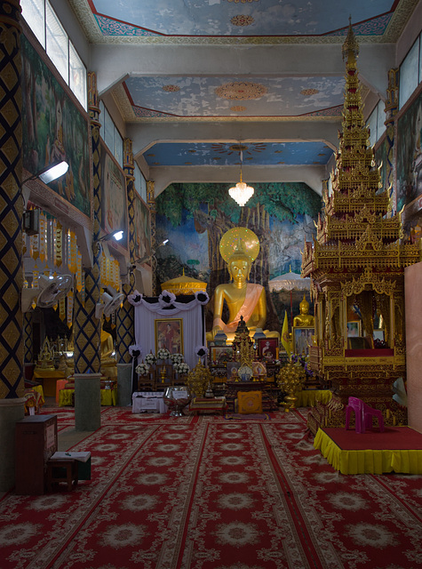 Wat Tham Pla ... P.i.P. (© Buelipix)