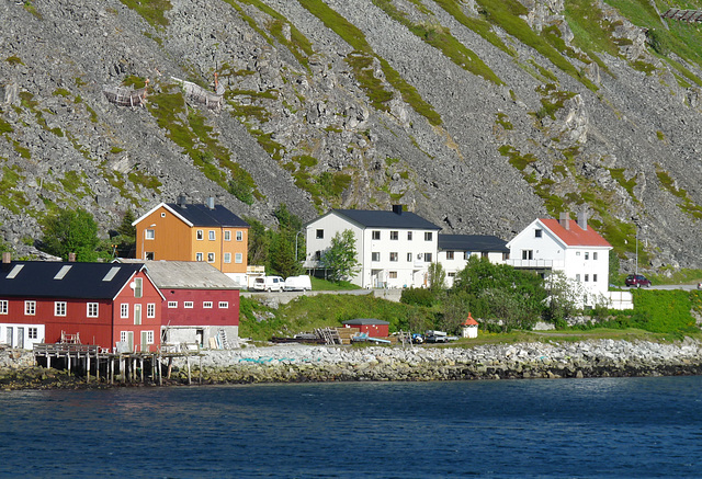 Kjollefjord