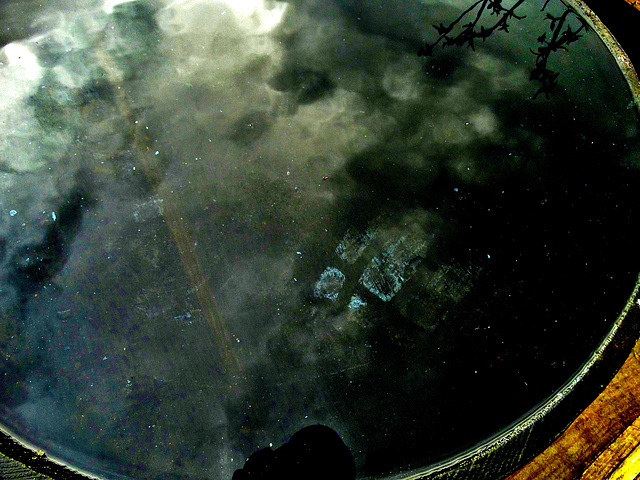 Barrels At The Garden Centre