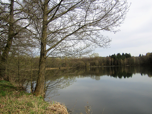 Teublitzer Weiher