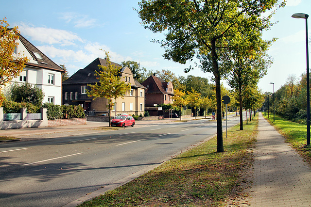 Ewaldstraße (Herten) / 15.10.2018