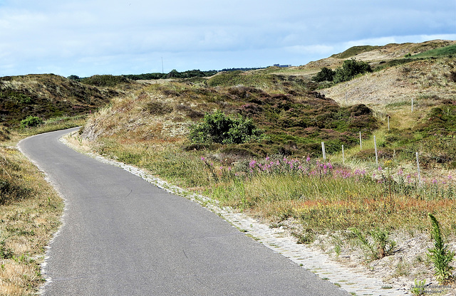 Bike Netherlands/  Texel  1xPiP