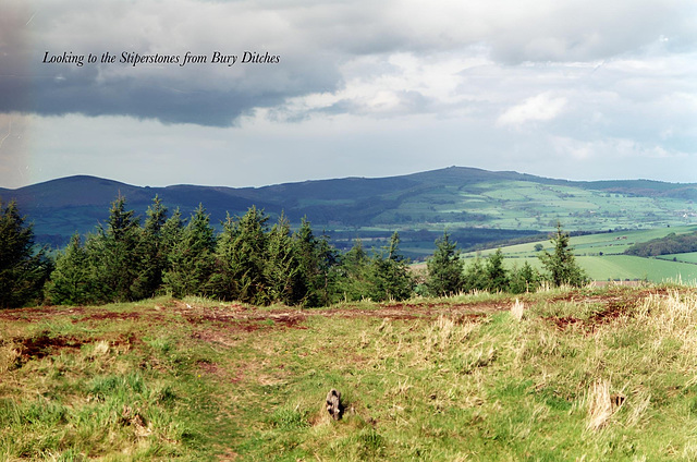 Looking to the Stiperstones from Bury Ditches.