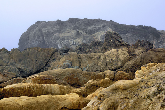 Bolsters – Point Lobos State Natural Reserve, California