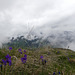 20160611 -18 Rando Meribel Les allues Jour2 Lac Bleu (33)