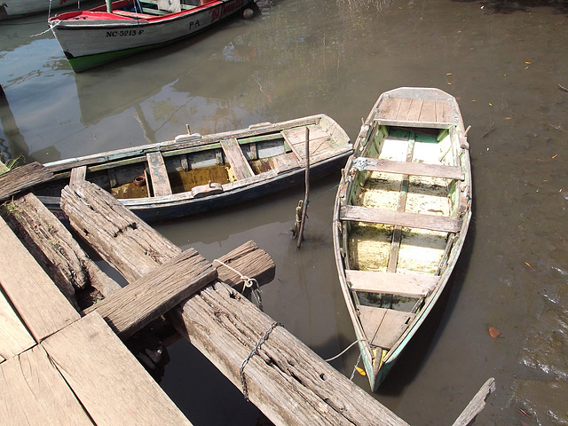 Quand bois et eau vivent en harmonie.