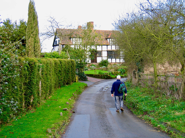 Lane leading to towards Nunnery Wood