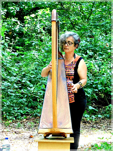 Lili (harpe celtique) à l'art est dans les bois (22)