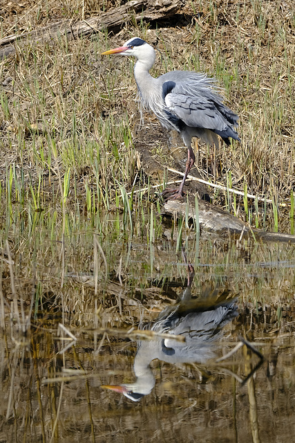 Ausflug an den Neuenburgersee