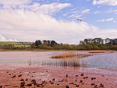 Budleigh Salterton, Devon