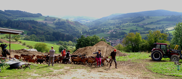 sortie de la salle de traite - en arrière plan le village d'OUROUX - Rhône