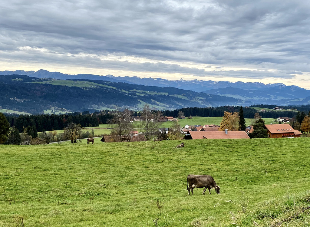 Blick über das Allgäu