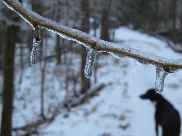 Ice storm