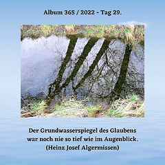 Album 365 /2022 - Tag 29.