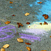 Leaves and chalk