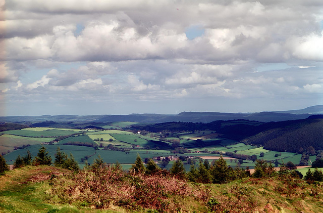 View from Bury Ditches.