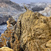 Turbulence – Point Lobos State Natural Reserve, California