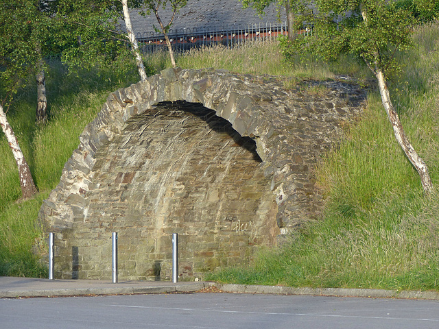 Swansea Railway Remains (5) - 26 June 2015