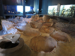 Musée des docks romains, 1.