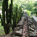 Ancienne sucrerie au Carbet