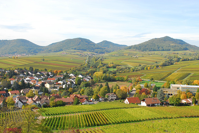 Blick über Ilbesheim zum Pfälzerwald