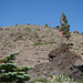 IMG 6948