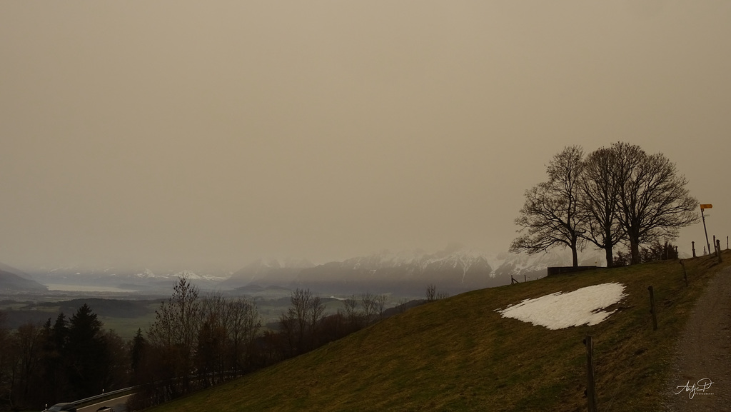 sahara in switzerland