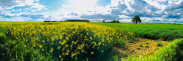 Warten auf den Frühling