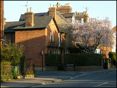 Temple Street corner