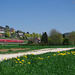 BÖ0033564