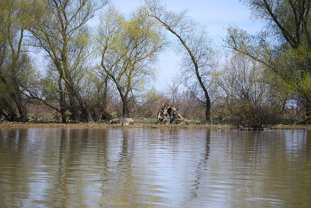 Das Ufer der Jermakiw-Insel