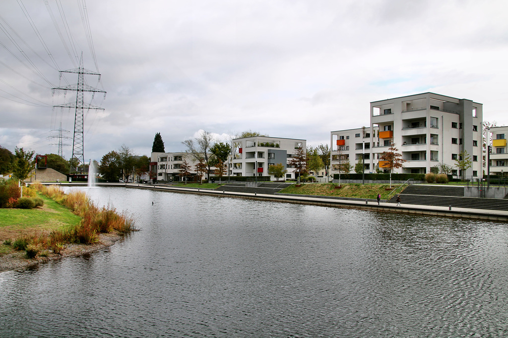 Niederfeldsee, Blick von der Brücke (Essen-Altendorf) / 24.10.2018
