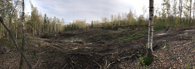 Landslide im Altbergbaugebiet