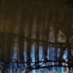 Bathroom Window
