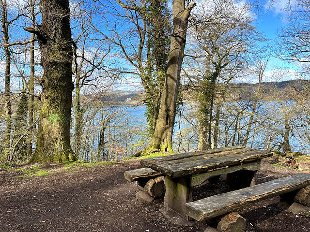 DE - Glees - Ein Tisch am Laacher See