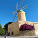 Windmill - Malta 2018 (34)