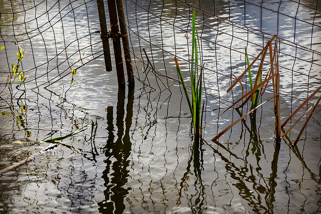 Loch im Zaun